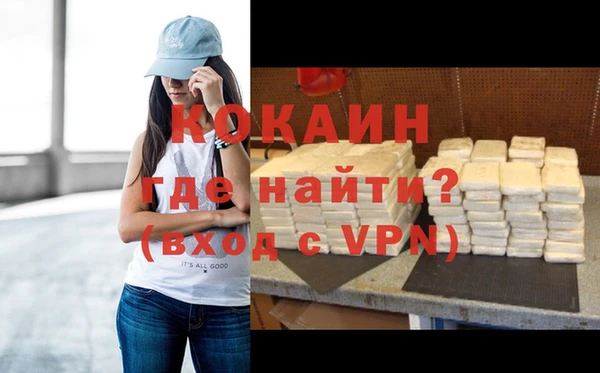 сатива Костерёво