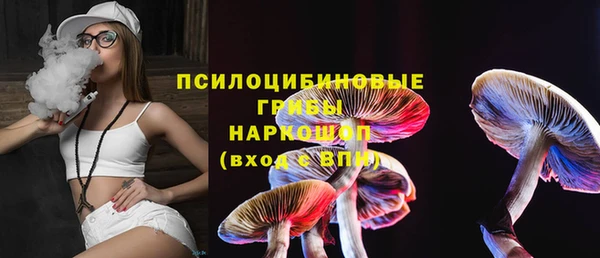 твердый Корсаков