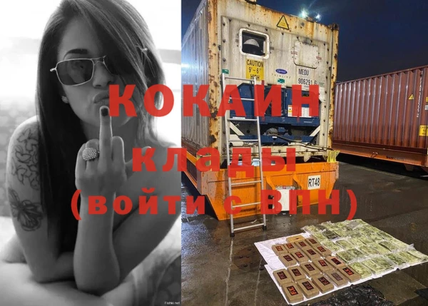 стаф Коряжма