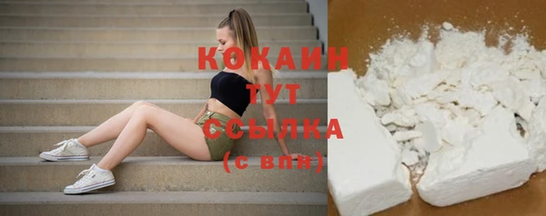 стаф Коряжма