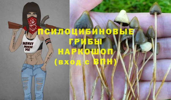 стаф Коряжма