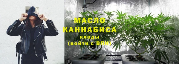 стаф Коряжма