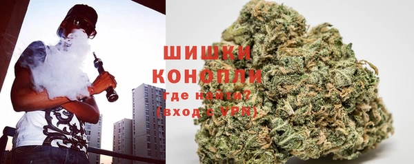 твердый Корсаков