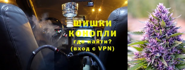 сатива Костерёво